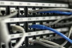 Close-up of a network patch panel with numbered ports and grey and blue Ethernet cables plugged in